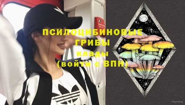 твердый Арсеньев