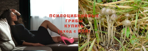 метадон Армянск