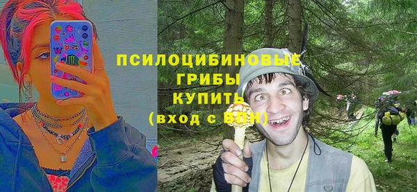твердый Арсеньев