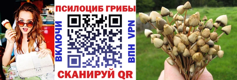 Псилоцибиновые грибы Psilocybine cubensis  как найти наркотики  Новое Девяткино 